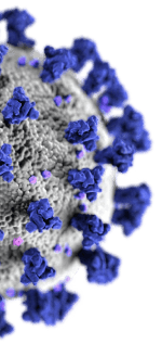 covid 19 virus illustration half slice.png