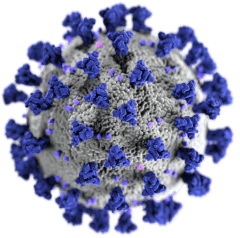 covid 19 virus illustration small.png
